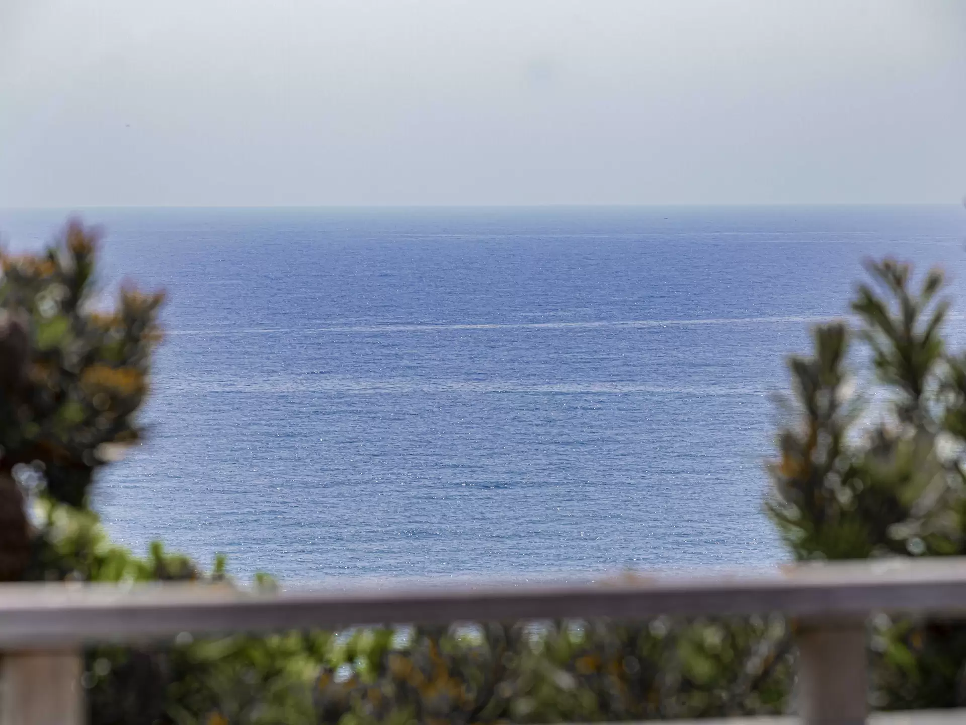 Photo #25: 6 Enterprise Street, Sunshine Beach - Sold by Ray White Noosa