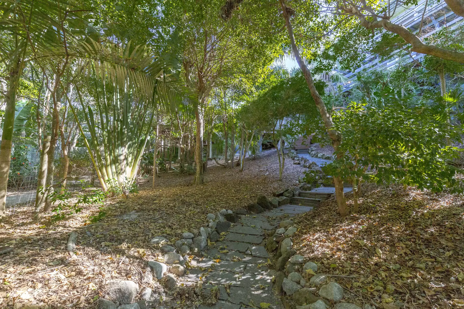Photo #24: 20 Park Crescent, Sunshine Beach - Sold by Ray White Noosa