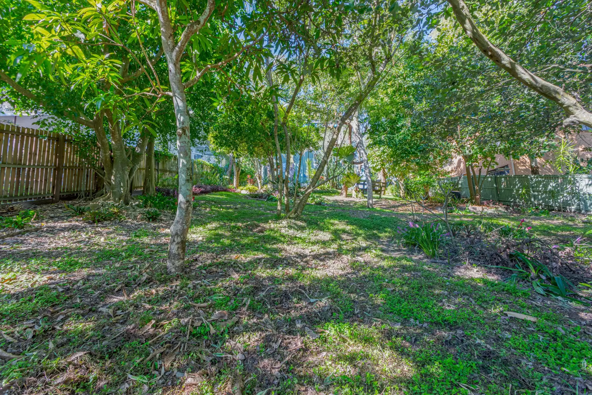Photo #15: 50 Pelican Street, Peregian Beach - Sold by Ray White Noosa
