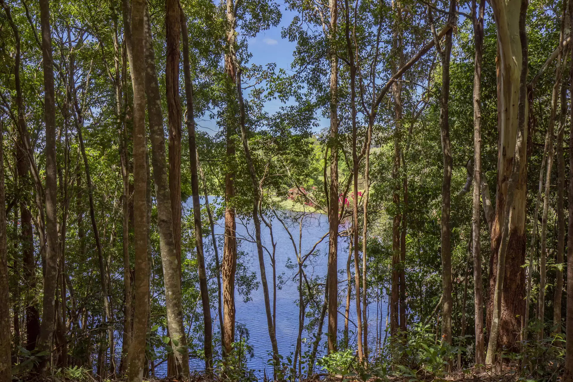 Photo #2: 60 Valley Drive, Doonan - Sold by Ray White Noosa