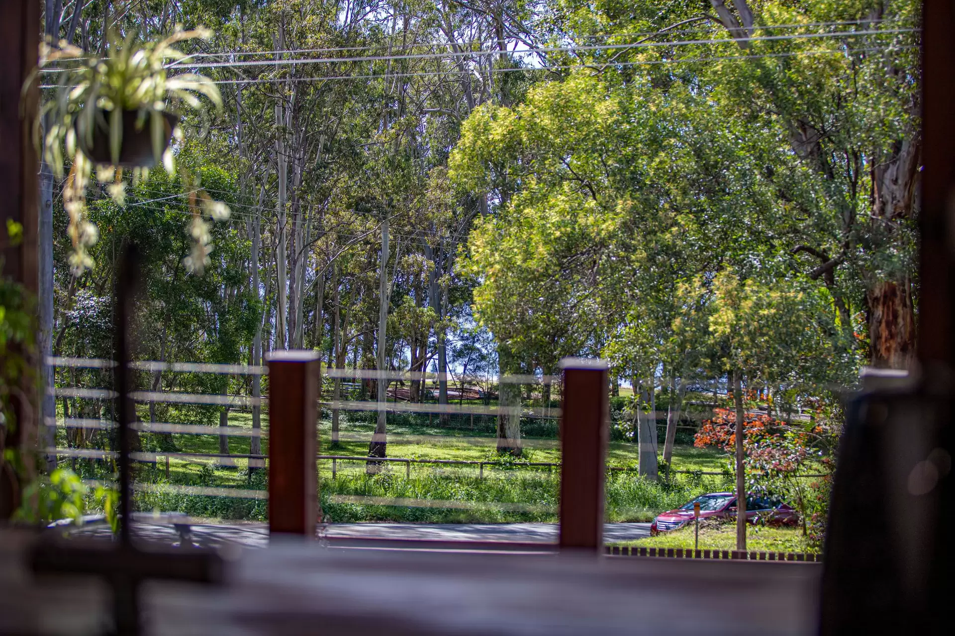 Photo #25: 4 Morning Glory Drive, Cooroibah - Sold by Ray White Noosa