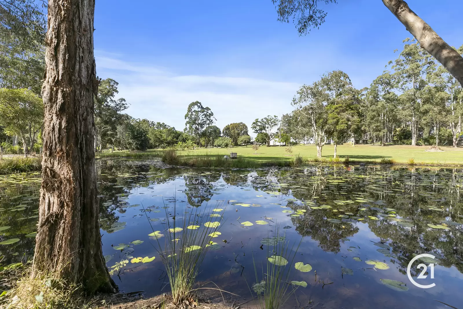 Photo #7: 155 Seib Road, Eumundi - Sold by Ray White Noosa