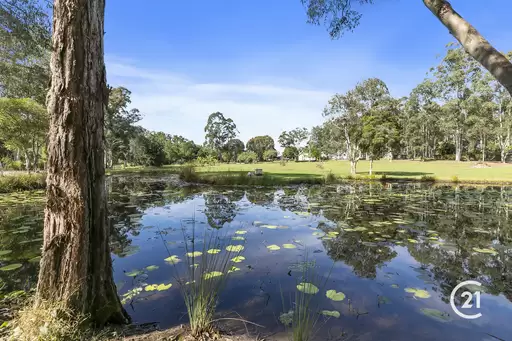 155 Seib Road, Eumundi Sold by Ray White Noosa - image 7