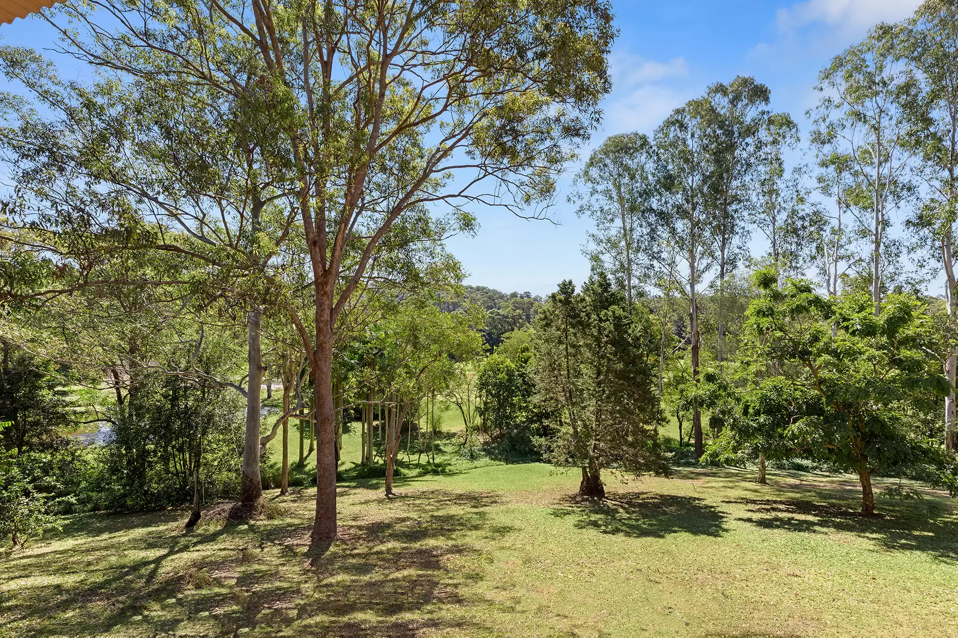 Photo #3: 156 Valley Drive, Doonan - Sold by Ray White Noosa