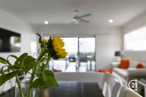 38 Hilton Terrace, Tewantin Sold by Ray White Noosa - image 19